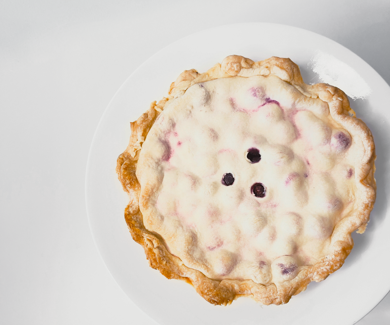 tarte-bleuets